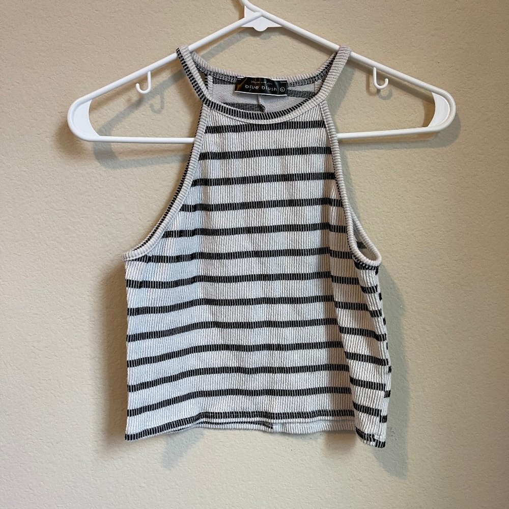 striped Blue Blush size L cropped tank